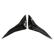 Carbon Seitenverkleidung unter